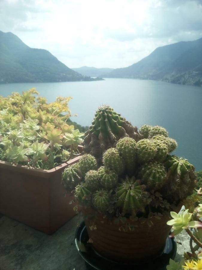 Casa Del Borgo Villa Pognana Lario Eksteriør billede